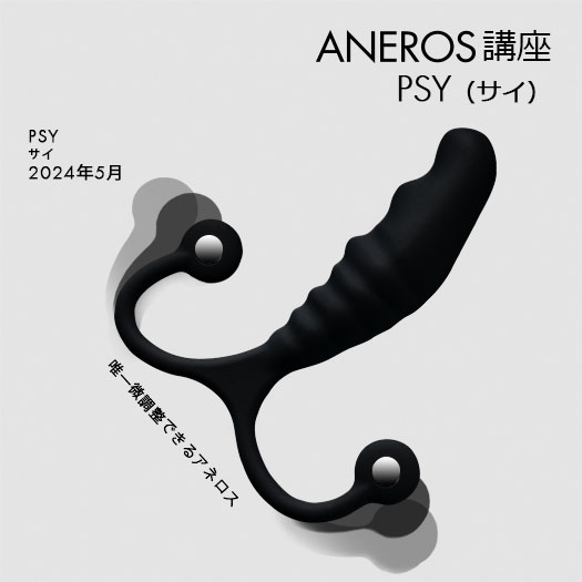 PSYであなただけのプレイスタイルを。